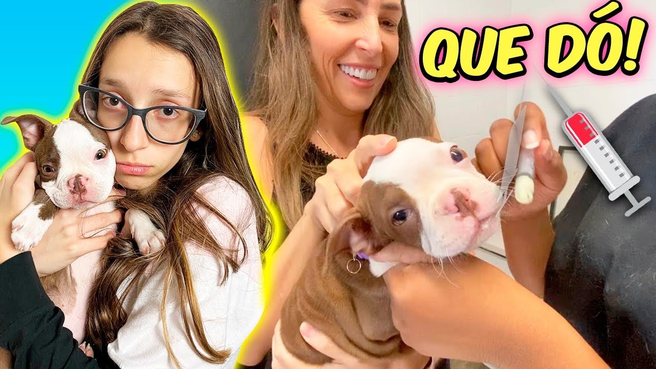 😭 PRIMEIRA VACINA DA NOSSA CACHORRINHA 😭 ELA CHOROU? SEGUNDA VEZ NO VETERINÁRIO