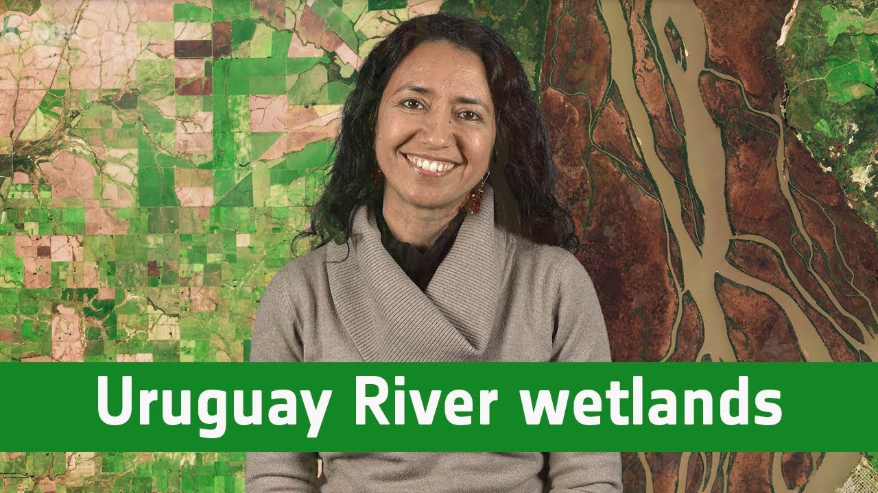 Earth from space: Uruguay River wetlands