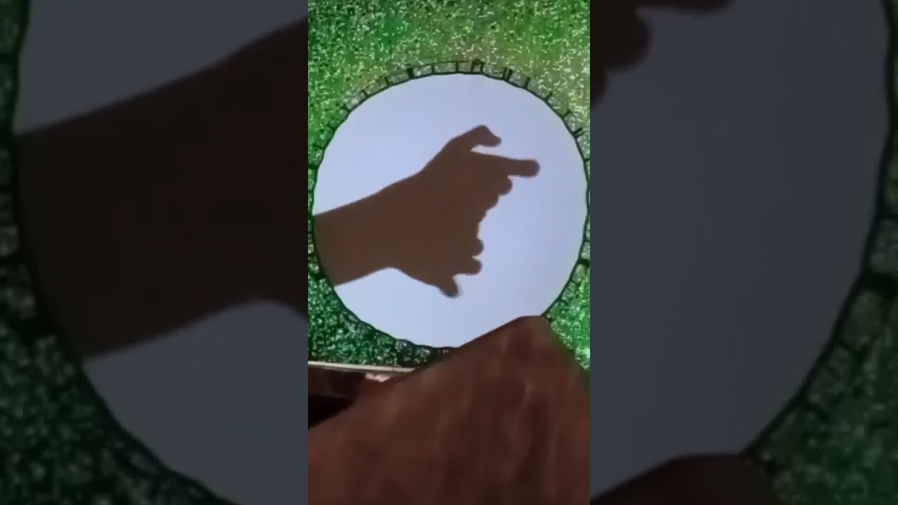 sombras mágicas