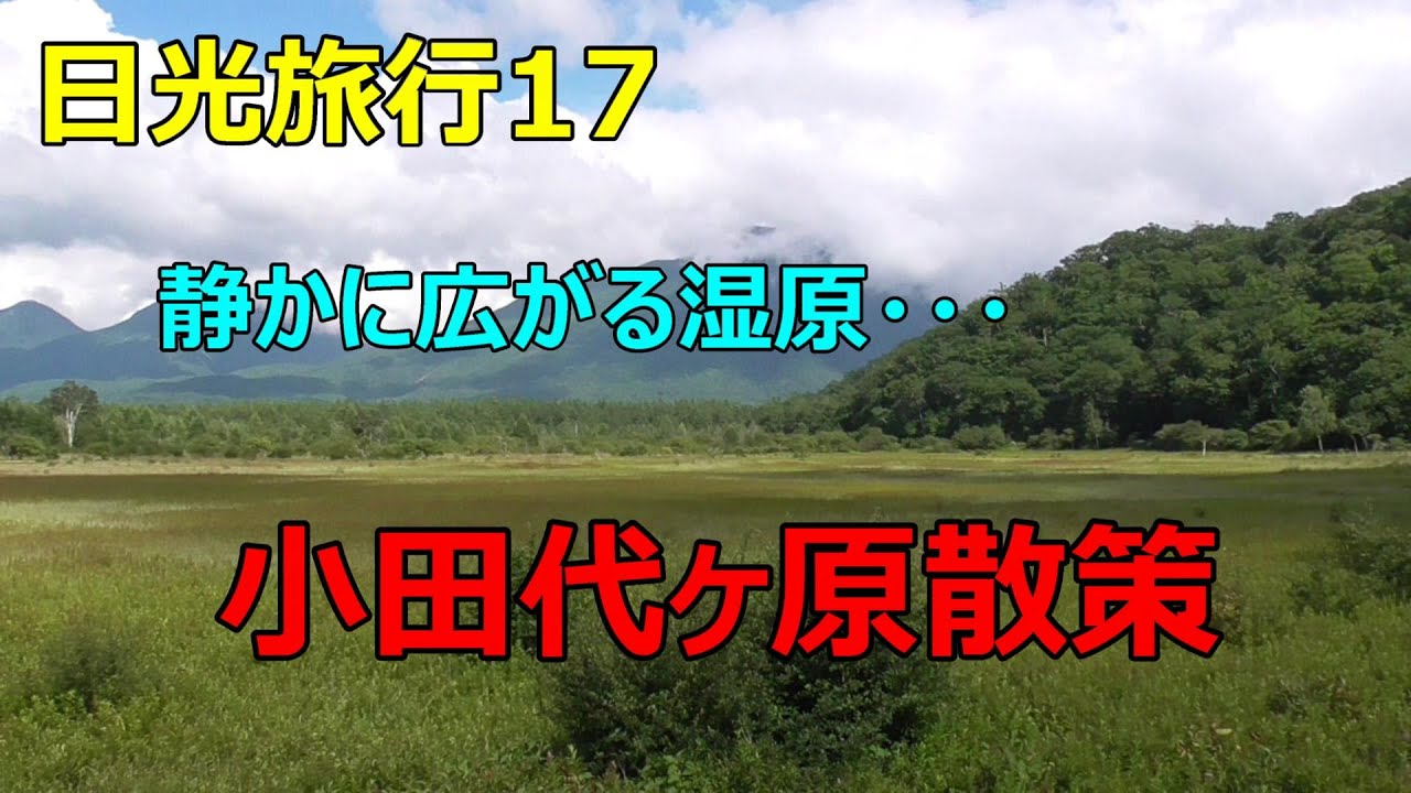 【日光旅行17：　静かに広がる湿原・・・　小田代ヶ原散策！】