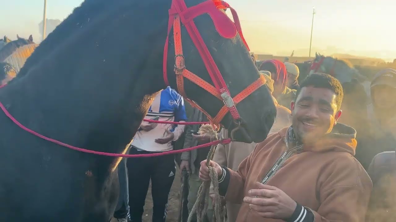 مباشرة من سوق ثلاتاء الخميسات آخر سوق قبل رمضان 