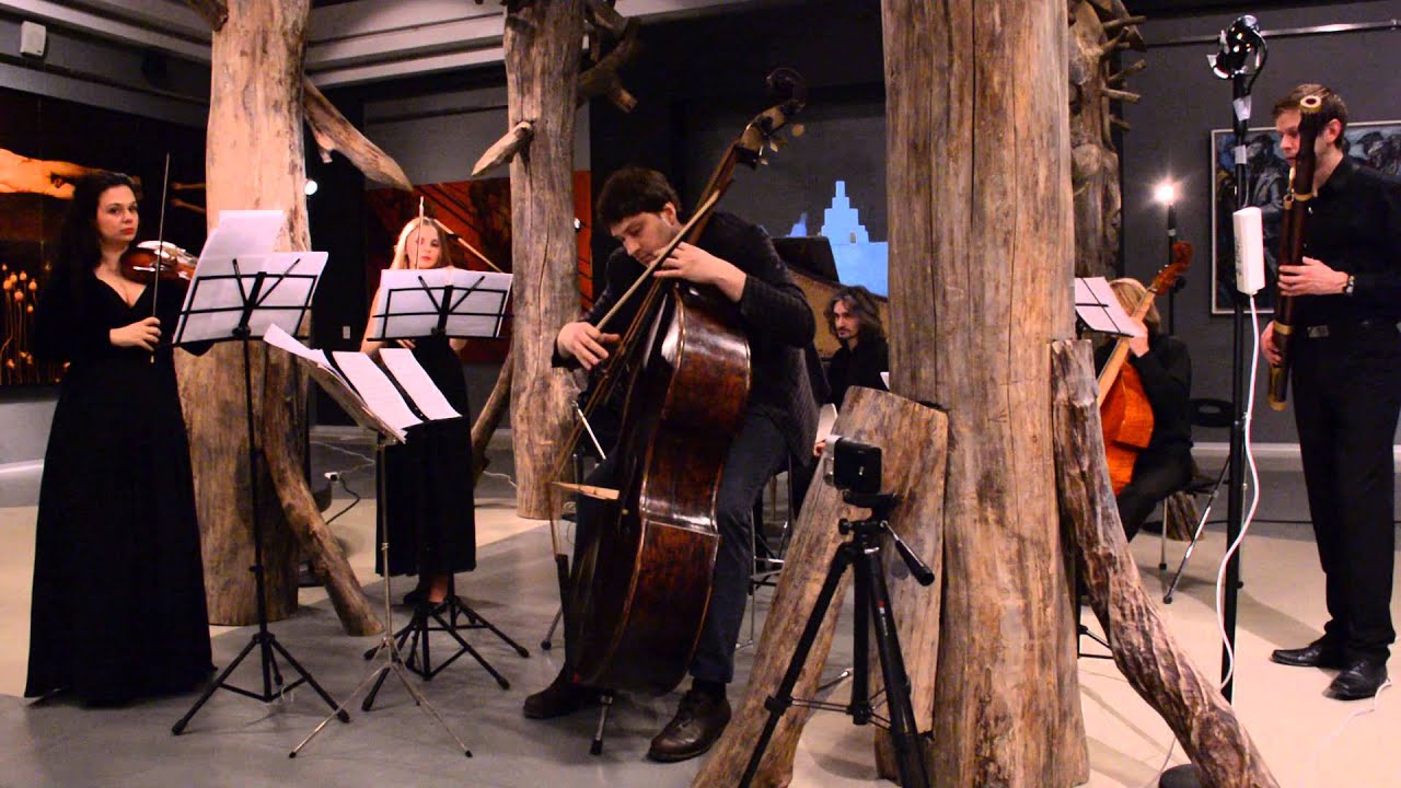 2016-03-06 Венский бас и ансамбль Barocco Concertato  в Эрарте 2
