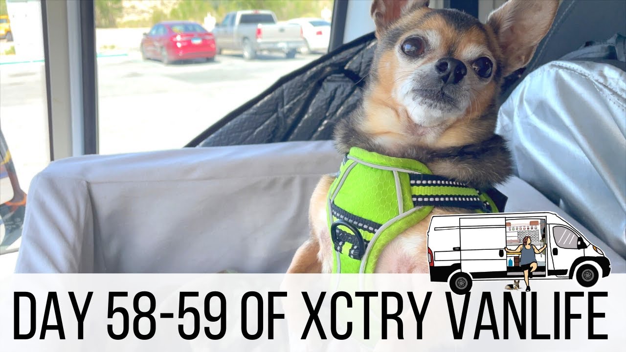 Solo Female Van Life With Dog - What To Do When Everything Seems To Go Wrong