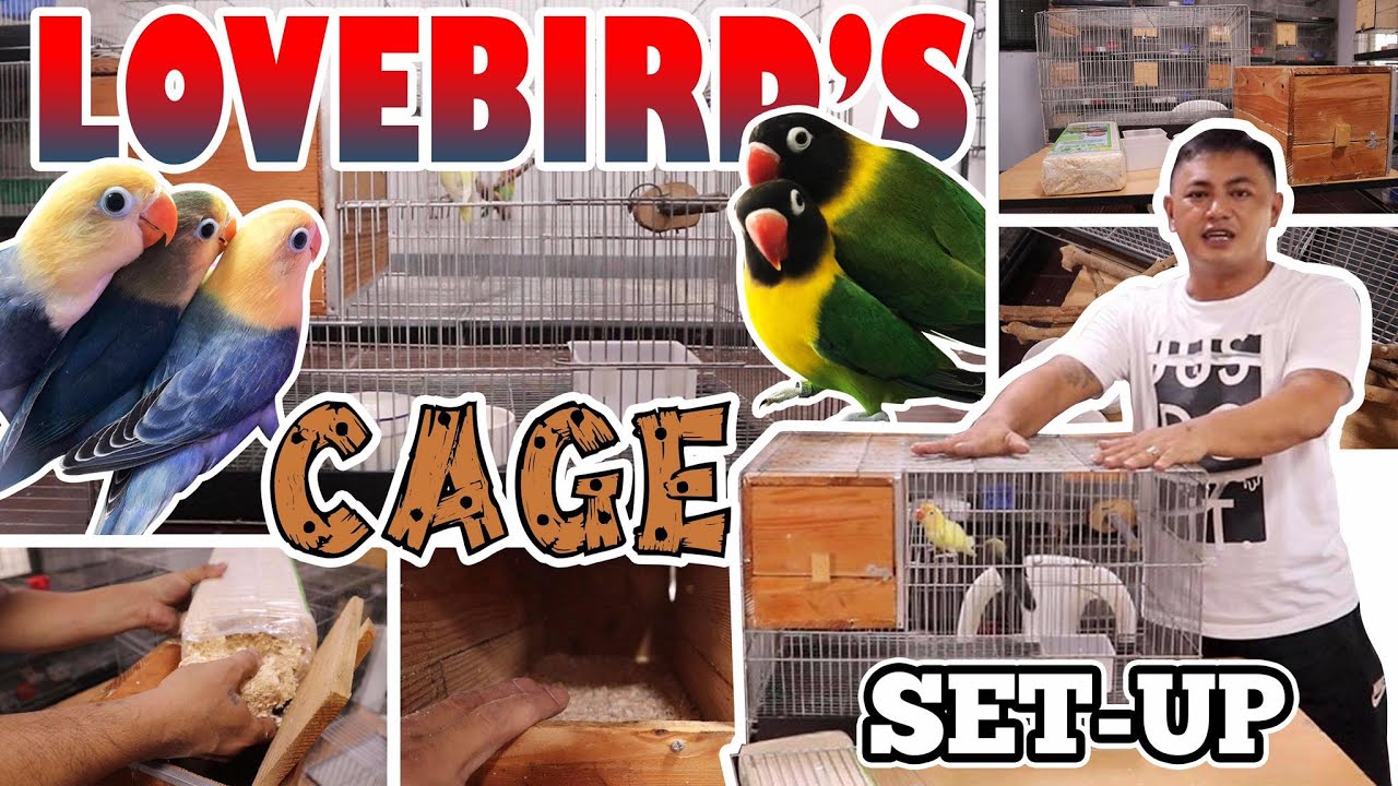 LOVE BIRDS BEGINNER SET-UP CAGE