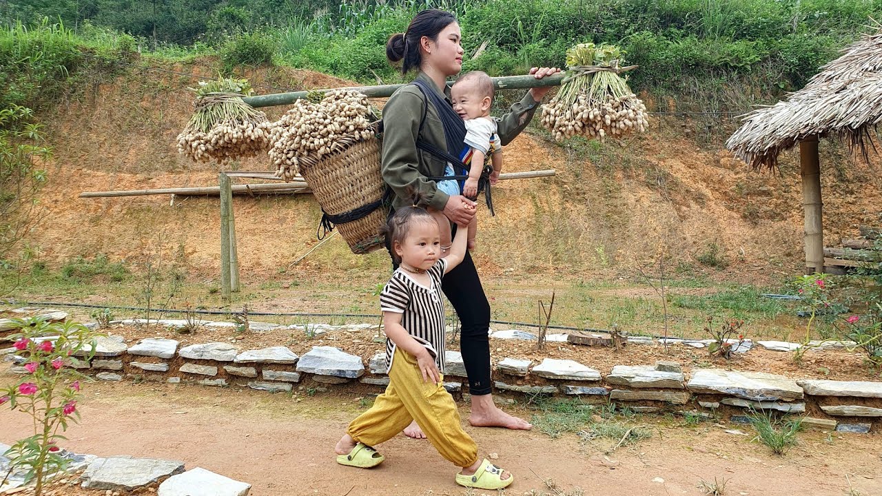 Looking back at the happy days with my children: Harvesting Produce Bring it to the market to sell