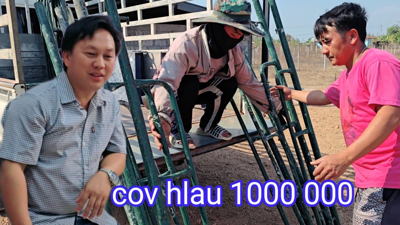 Txoj hauj lwm hnu no 17/2/2026
