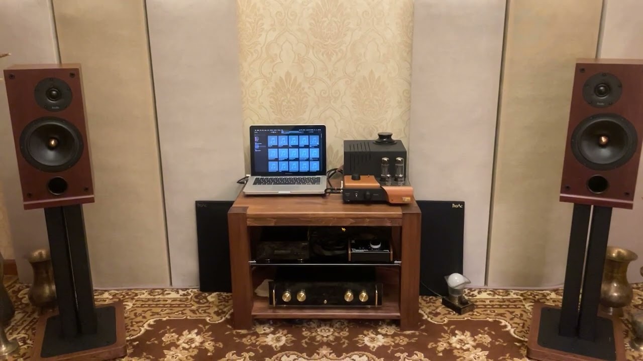 Electrocompaniet ECI-2- ProAc Response D2