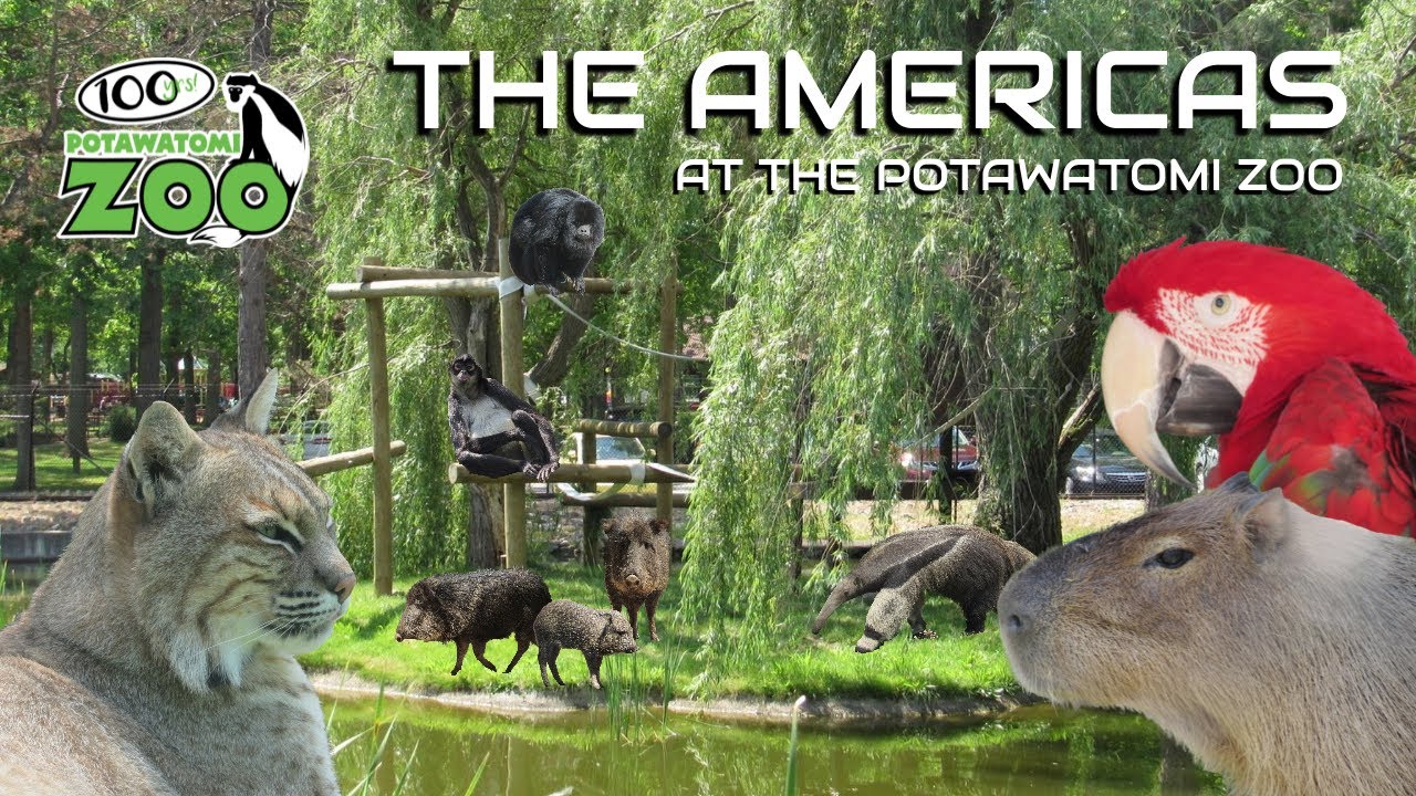 The Americas at the Potawatomi Zoo | Exhibit Tours Ep. 20
