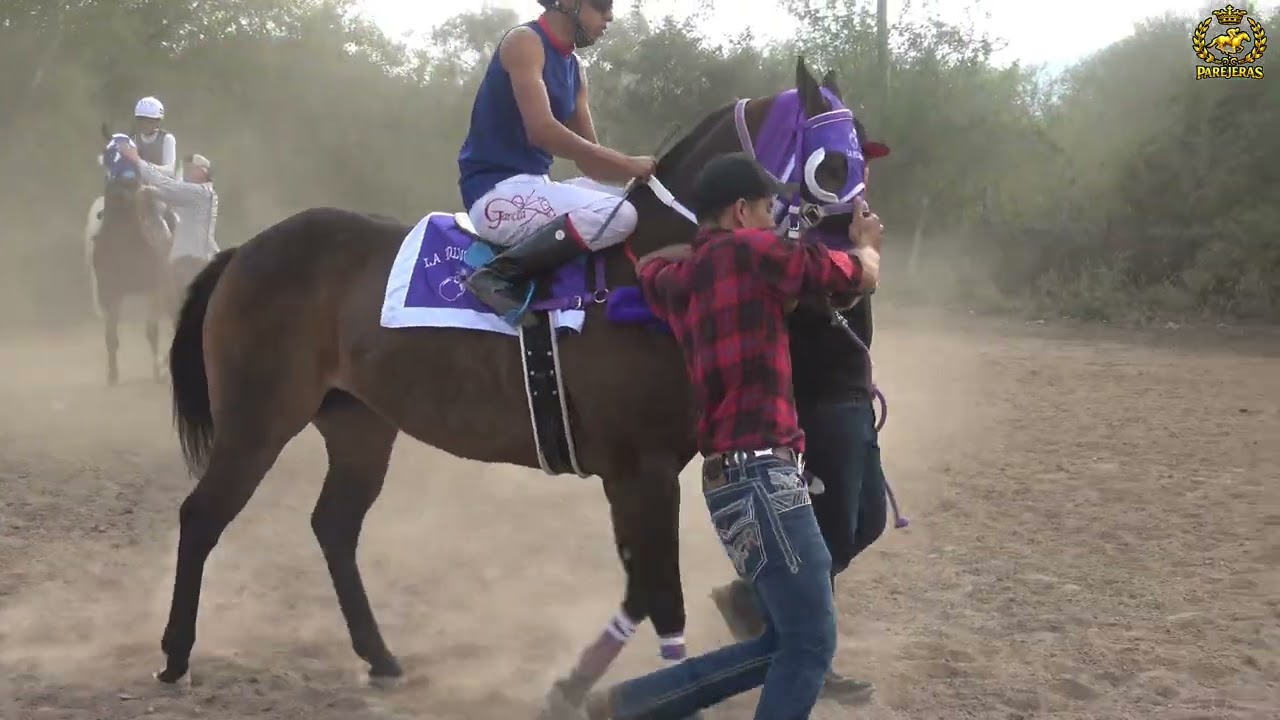 Polvora vs presumida pista el carpintero 