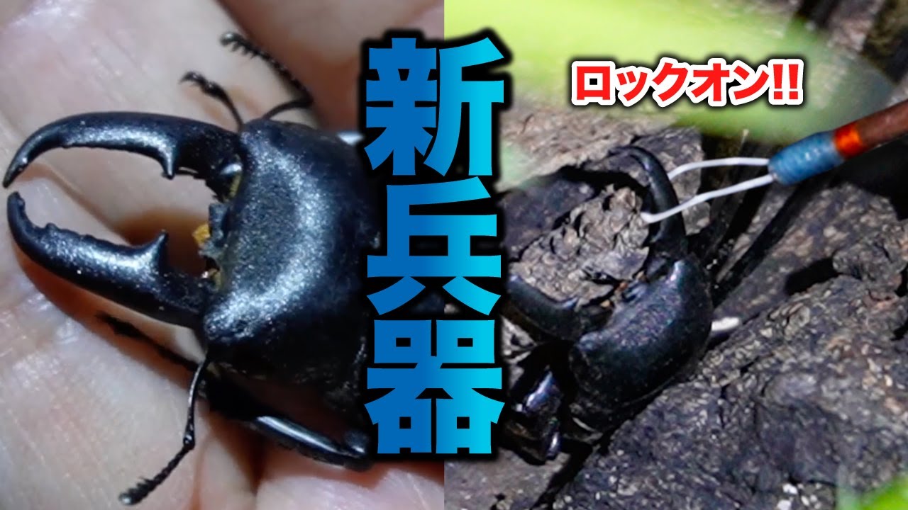 新兵器で巨大クワガタにリベンジ