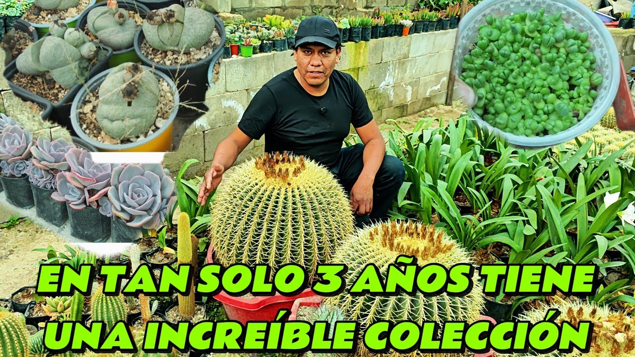 Eduardo emprende hace 3 años con cactus y suculentas