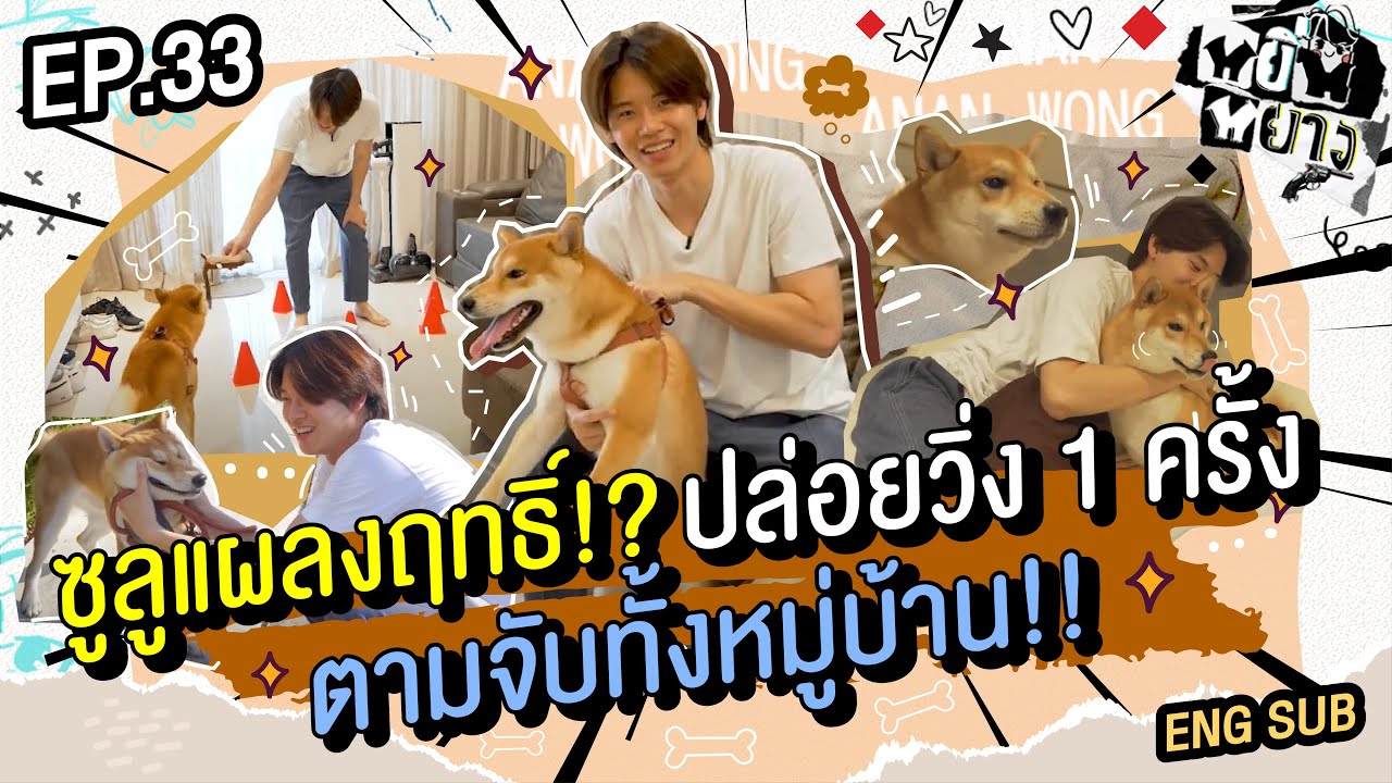 หยิ่นหยาง EP.33 | ซูลูแผลงฤทธิ์!? ปล่อยวิ่ง 1 ครั้ง ตามจับทั้งหมู่บ้าน!!