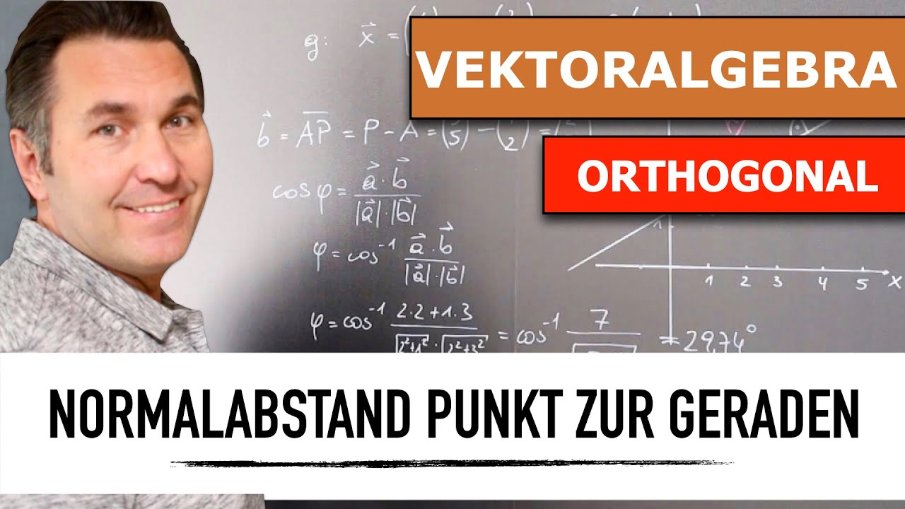 Normalabstand eines Punktes zu einer Geraden | Vektorberechnung | Vektorkoordinaten in der Ebene