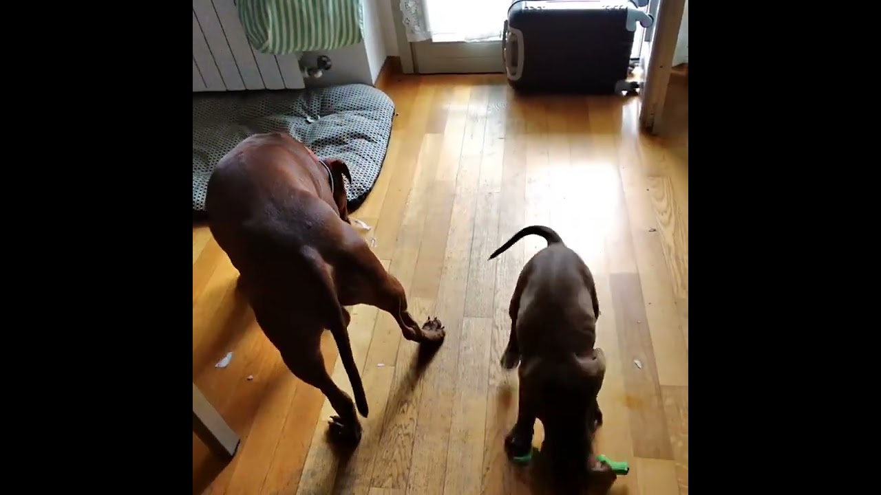 3 settembre 2022