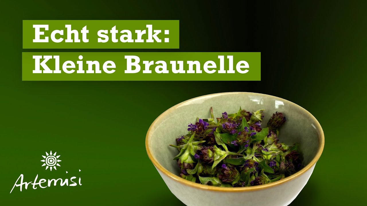 Antibiotika im Rasen, bitte nicht drauf treten!
