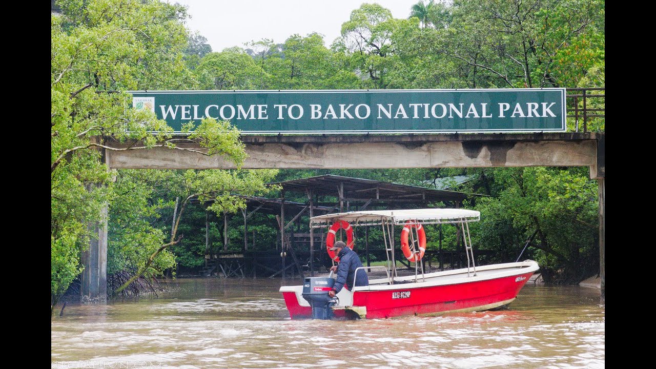 A trip to Bako National Park in Sarawak Jan 2026.
