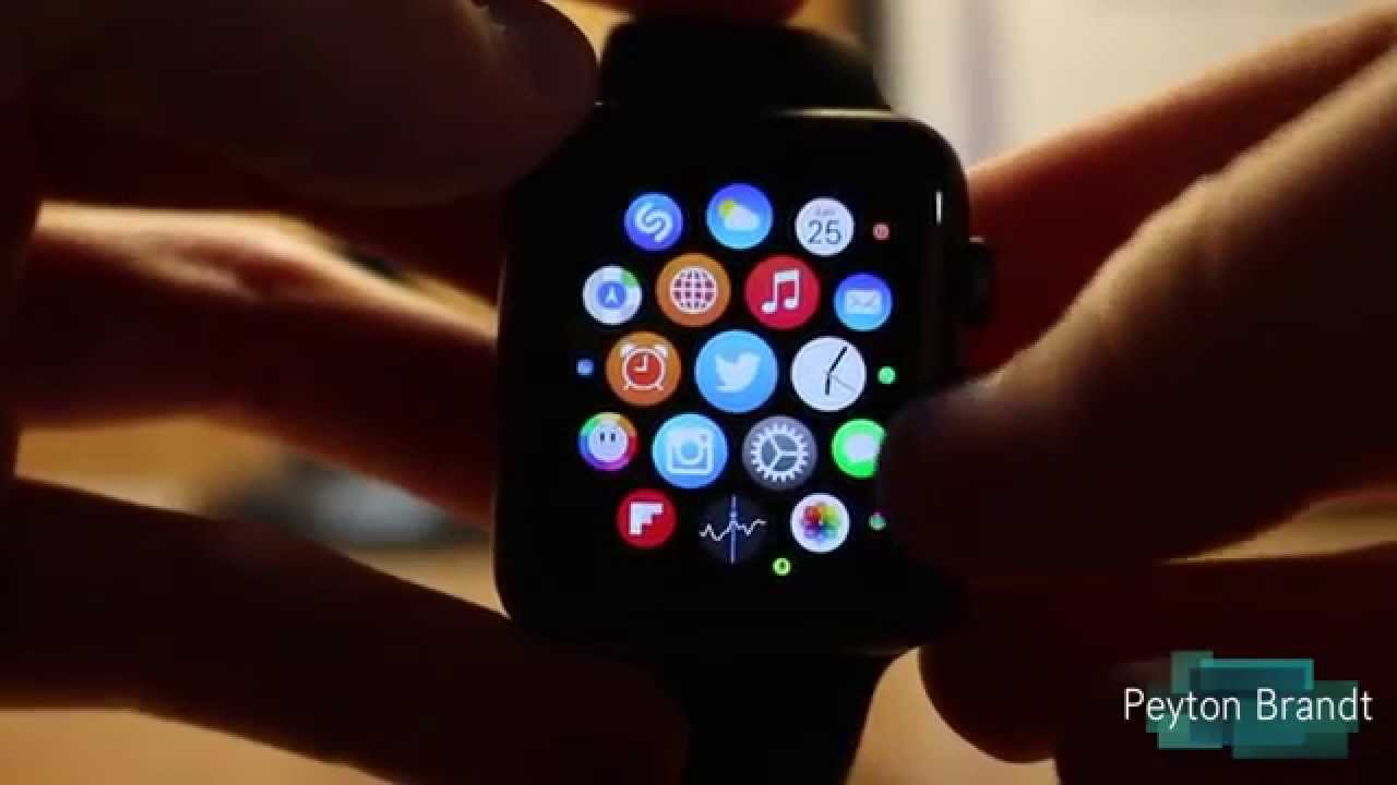Apple Watch Accessibility Options