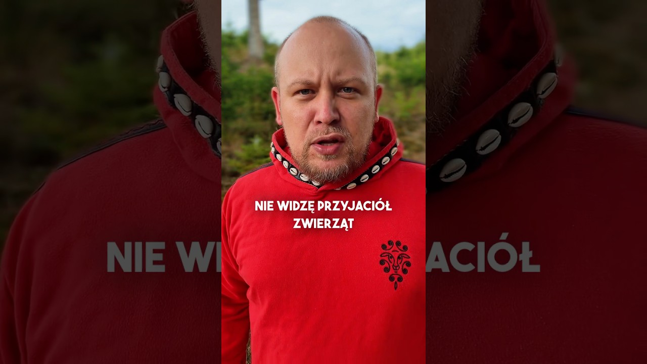 DIOZ 👉 Dramatyzm - Insynuacje - Oskarżenia - Zbi&oacute;rki #g&oacute;rale #podhale #zakopane #morskieoko #dioz