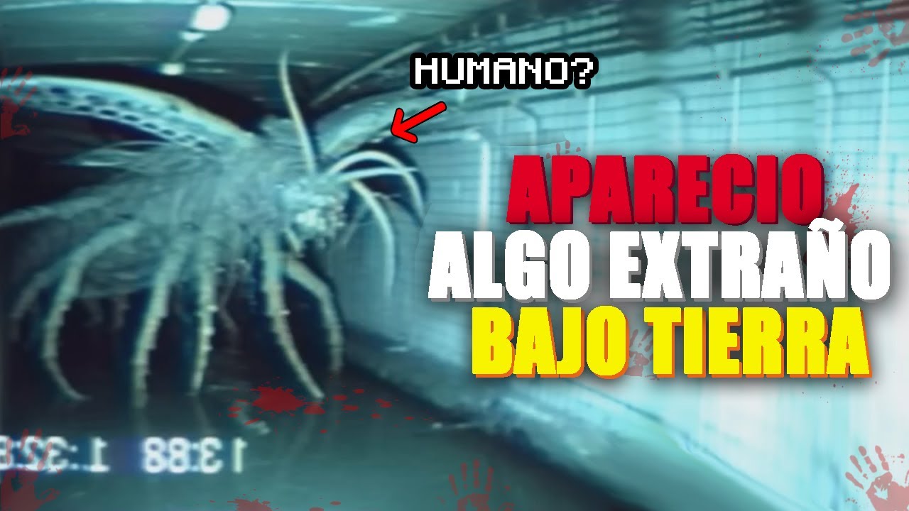 ALGO EXTRAÑO❌APARECIÓ BAJO TIERRA | M'ROHOJ (SEASON 1)