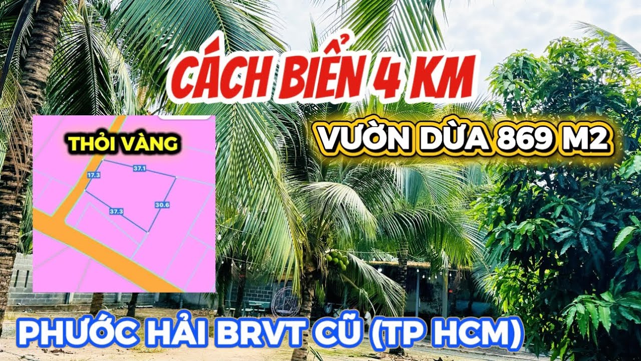 SIÊU PHẨM NGHỈ DƯỠNG PHƯỚC HẢI 869m² TẶNG VƯỜN DỪA XANH MÁT #nhavuon #phuochai #nhadattphcm #brvt 