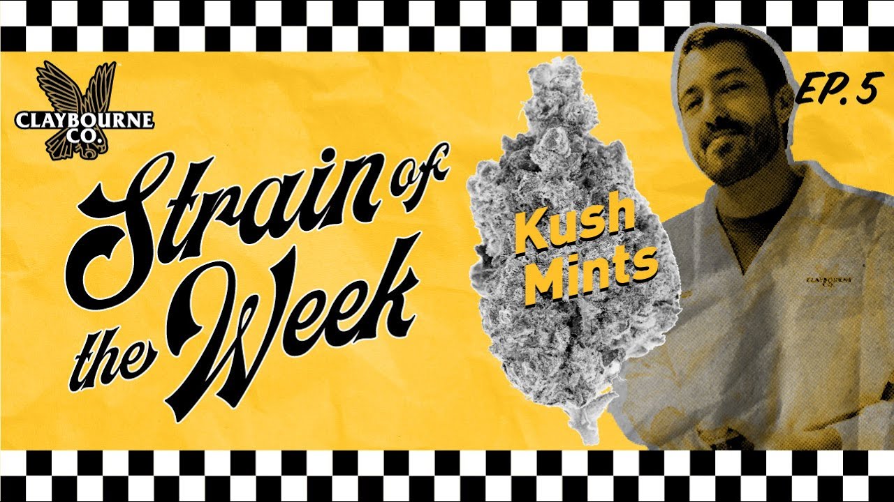 Kush Mints - Strain Of The Week Episode 5
