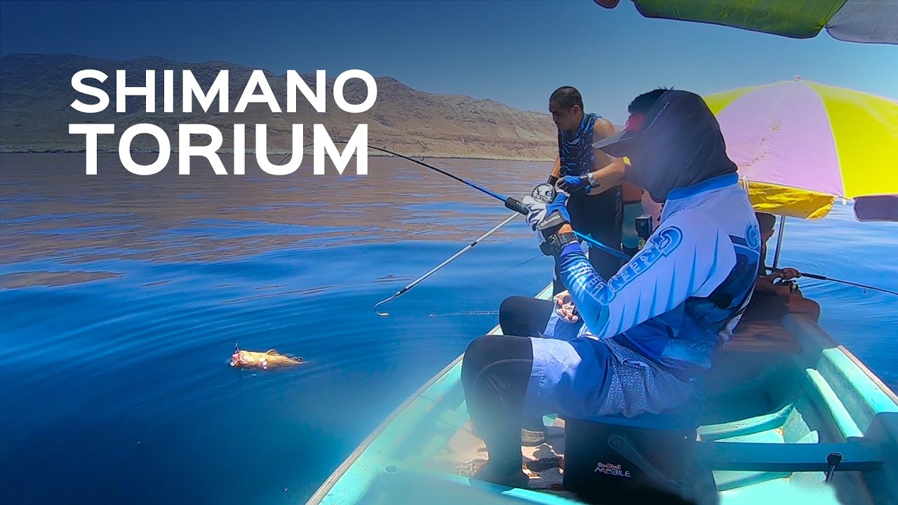 Shimano Torium 20HG Field Test - Reeling in Monster Fish!