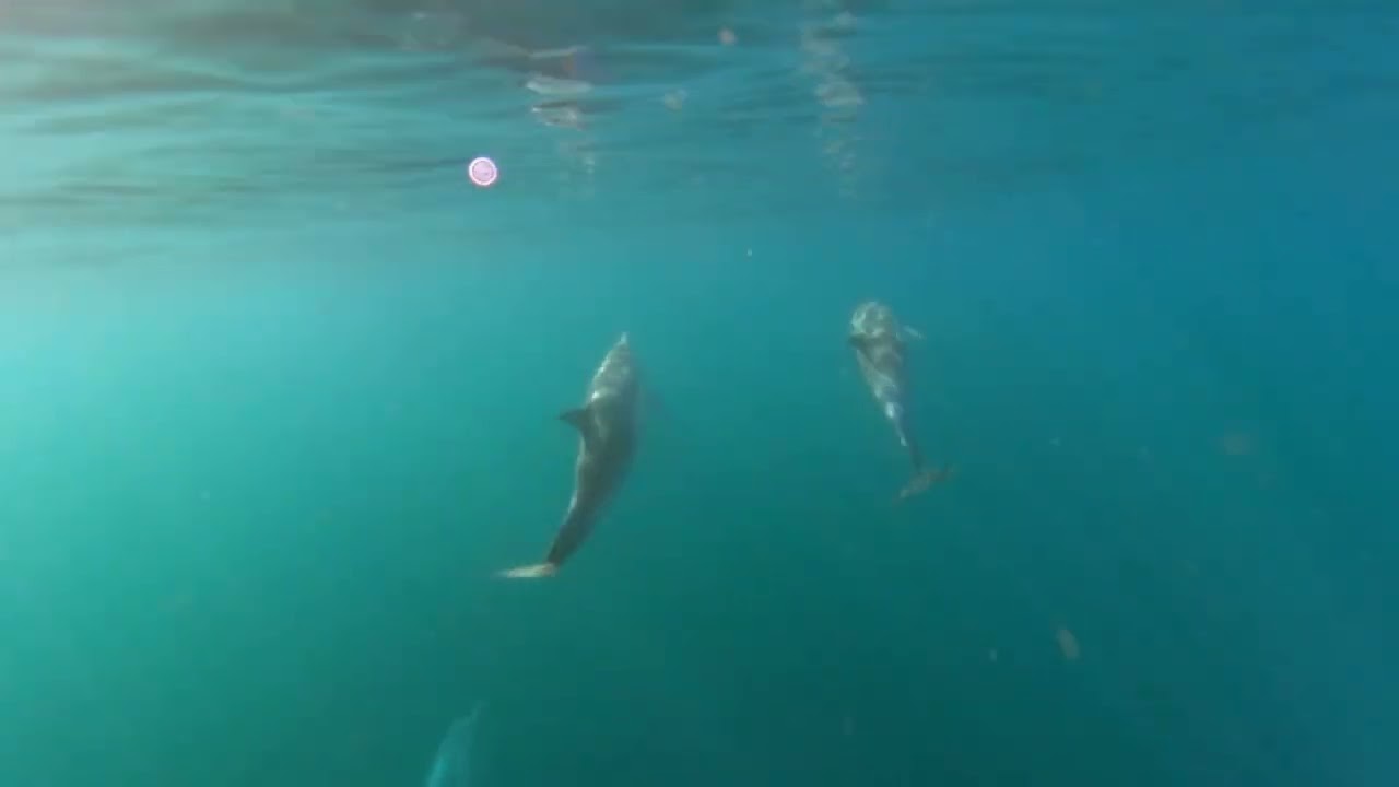 Sailing the Baja Pennisula