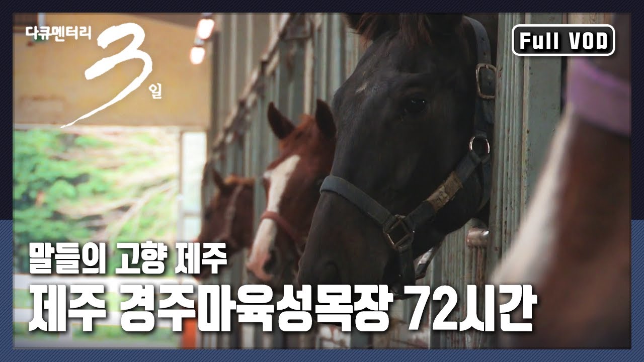 [다큐3일★풀버전] 말 생산에서부터  혈통관리까지! 대한민국 말산업의 미래를 만들어가는 곳 | “말 달리자 제주 경주마육성목장 72시간” (KBS 161106 방송)