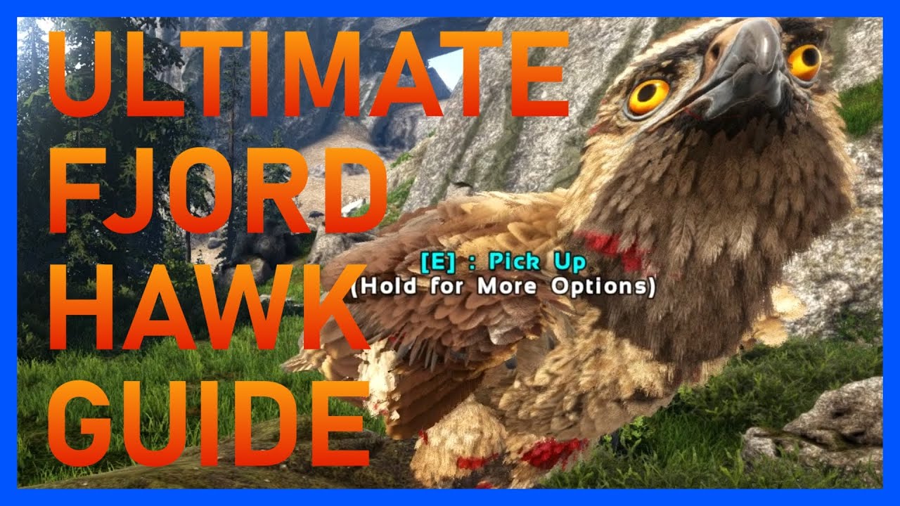 How to tame a Fjordhawk