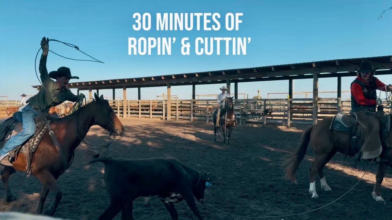 Ropin’ & Cuttin’ bulls in South Central Florida - Blue Head Ranch - Roping Cattle
