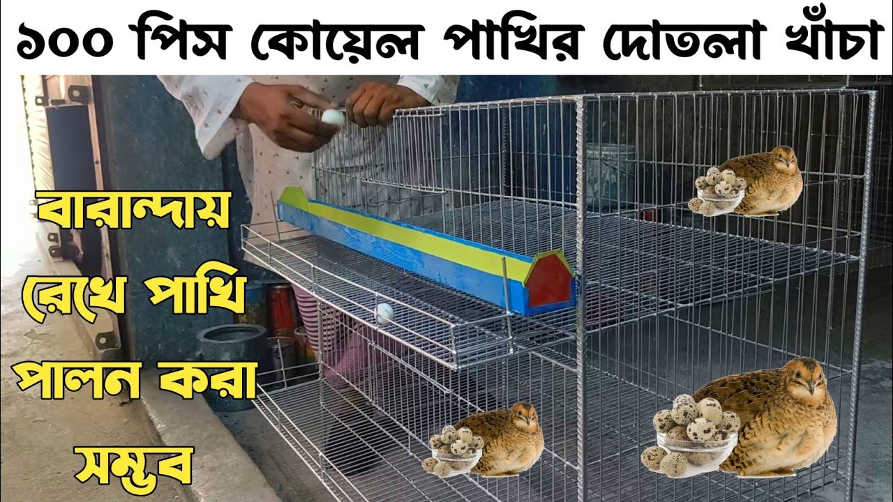 ১০০ কোয়েল পাখির দোতলা খাঁচা কিনুন। এখন বারান্দায় রেখে পাখি পালন করতে পারবেন। Koyel Pakhir Khacha