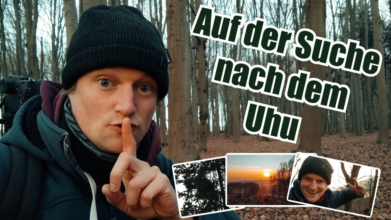 Der Uhu - der Jäger der Nacht (