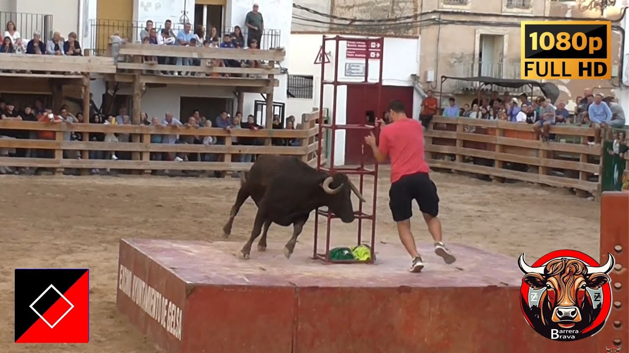 Gelsa. Suelta de Vacas en Plaza | 04/09/2024 | Ganad. Iván López