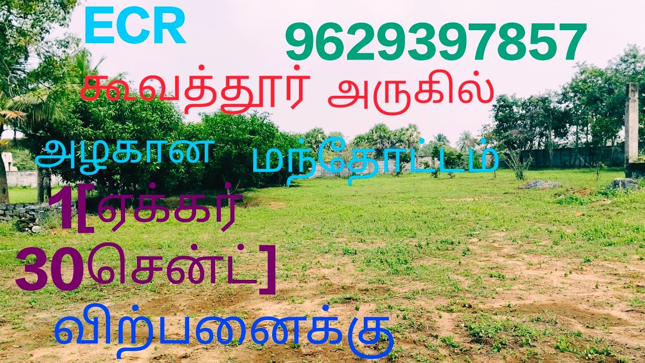 NO:98 ECR கூவத்தூர் அருகில் அழகான மாந்தோட்டம் 1ஏக்கர் 30சென்ட் விற்பனைக்கு 👉9629397857
