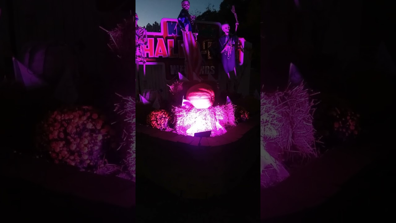 Halloween Decorations