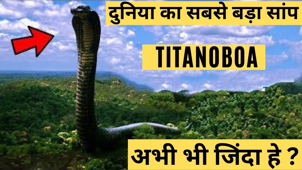 TITANOBOA अभी भी जिंदा हे ? दुनिया का सबसे बड़ा सांप. 