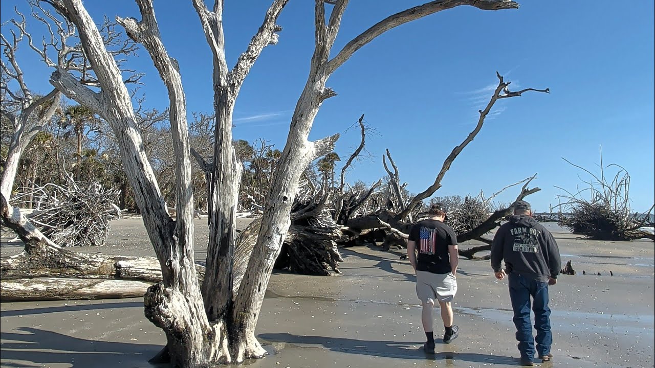 The Driftwood Beach...A Day at Botany Bay on Edisto Island, South Carolina 