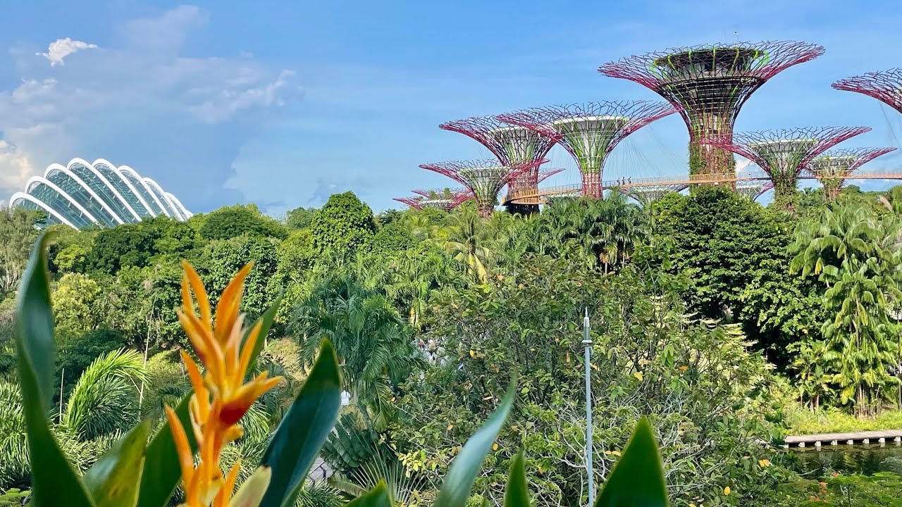 4 night holiday. Exploring fabulous Singapore.