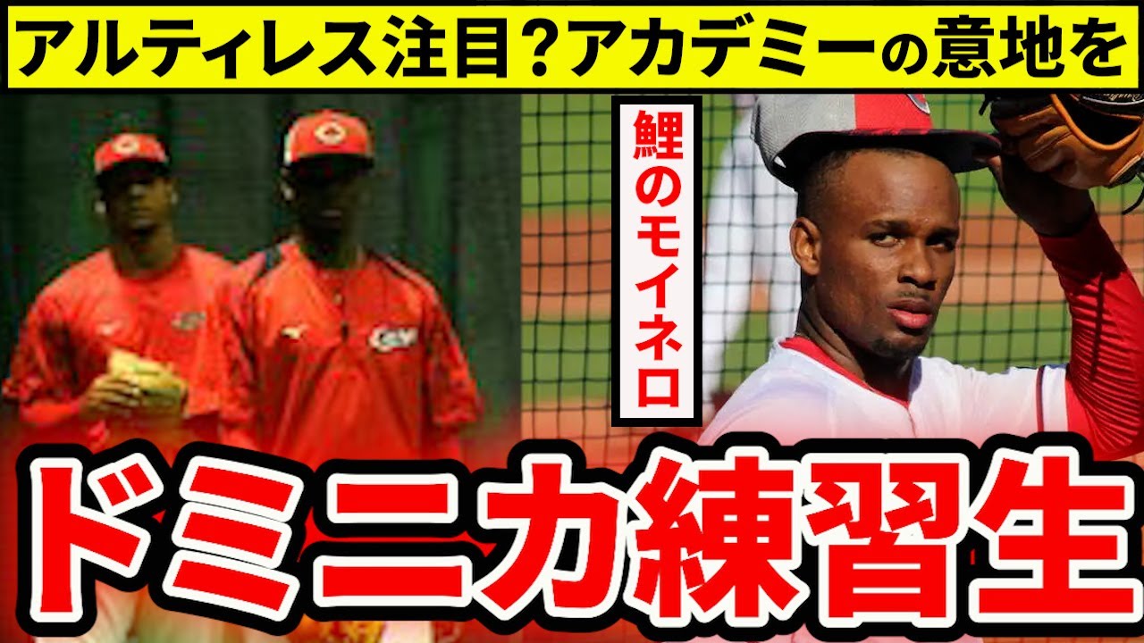 【広島】ドミニカ練習生3人は支配下を勝ち取れるか？アルティレス・メヒア・アリアの特徴と課題を考察【広島東洋カープ】