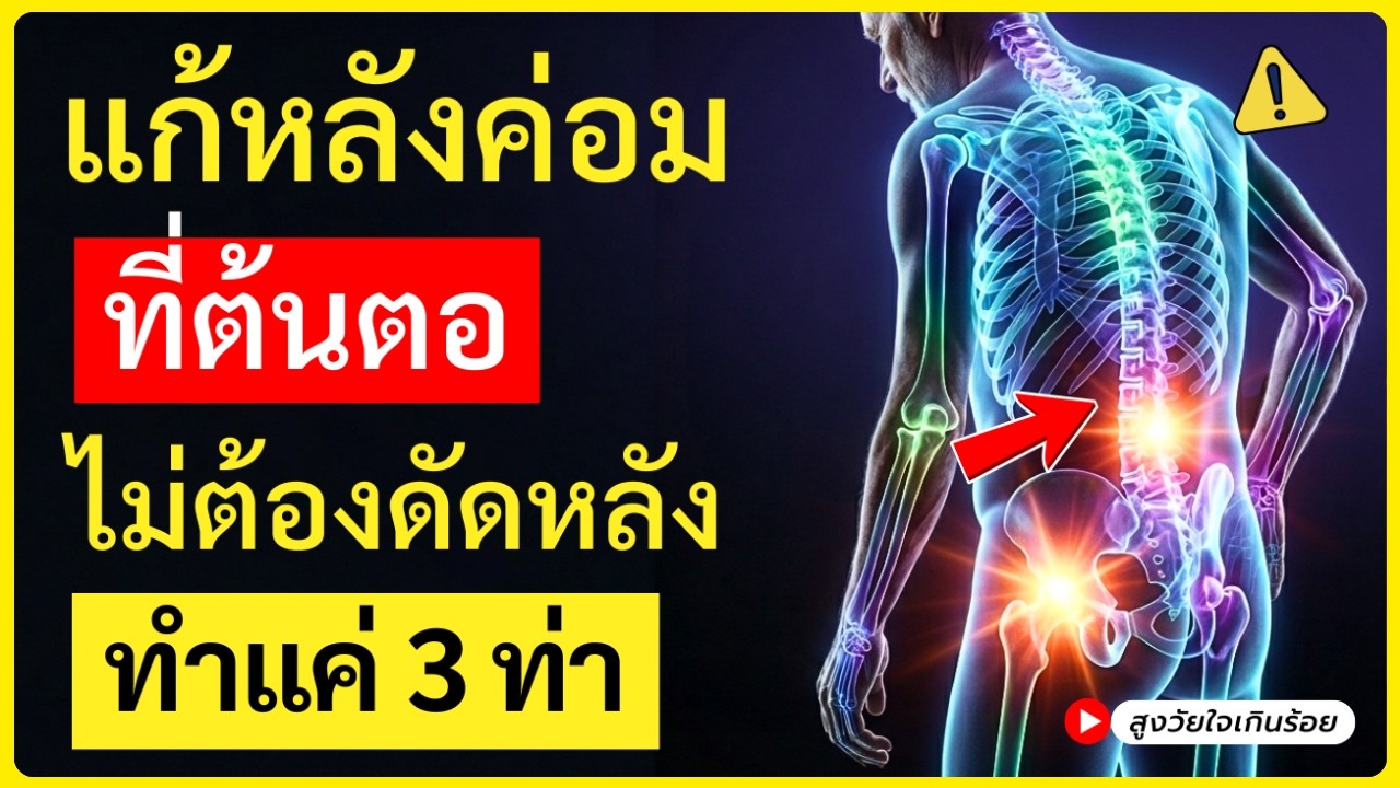 หลังค่อม? เผยเทคนิคหมอญี่ปุ่น สอน 3 ท่า ปลุกกล้ามเนื้อลึกฟื้นความอ่อนวัย (ใช้แค่เก้าอี้ตัวเดียว)