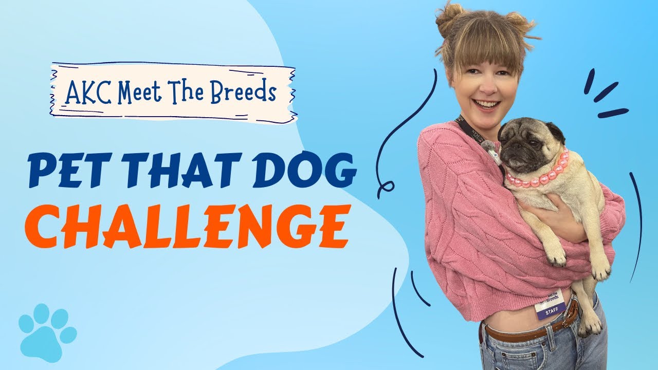 My Autism-Fueled Dog Obsession at AKC Meet The Breeds