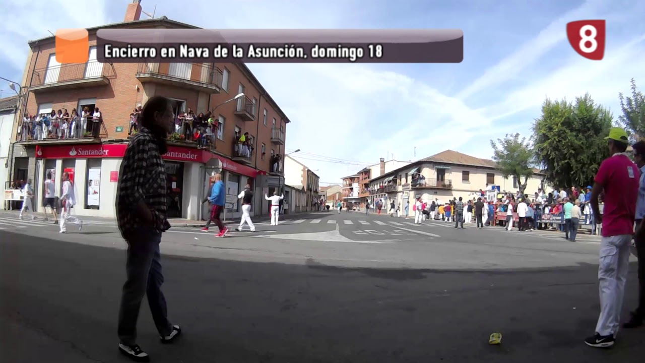 Encierro Domingo Nava de la Asunción