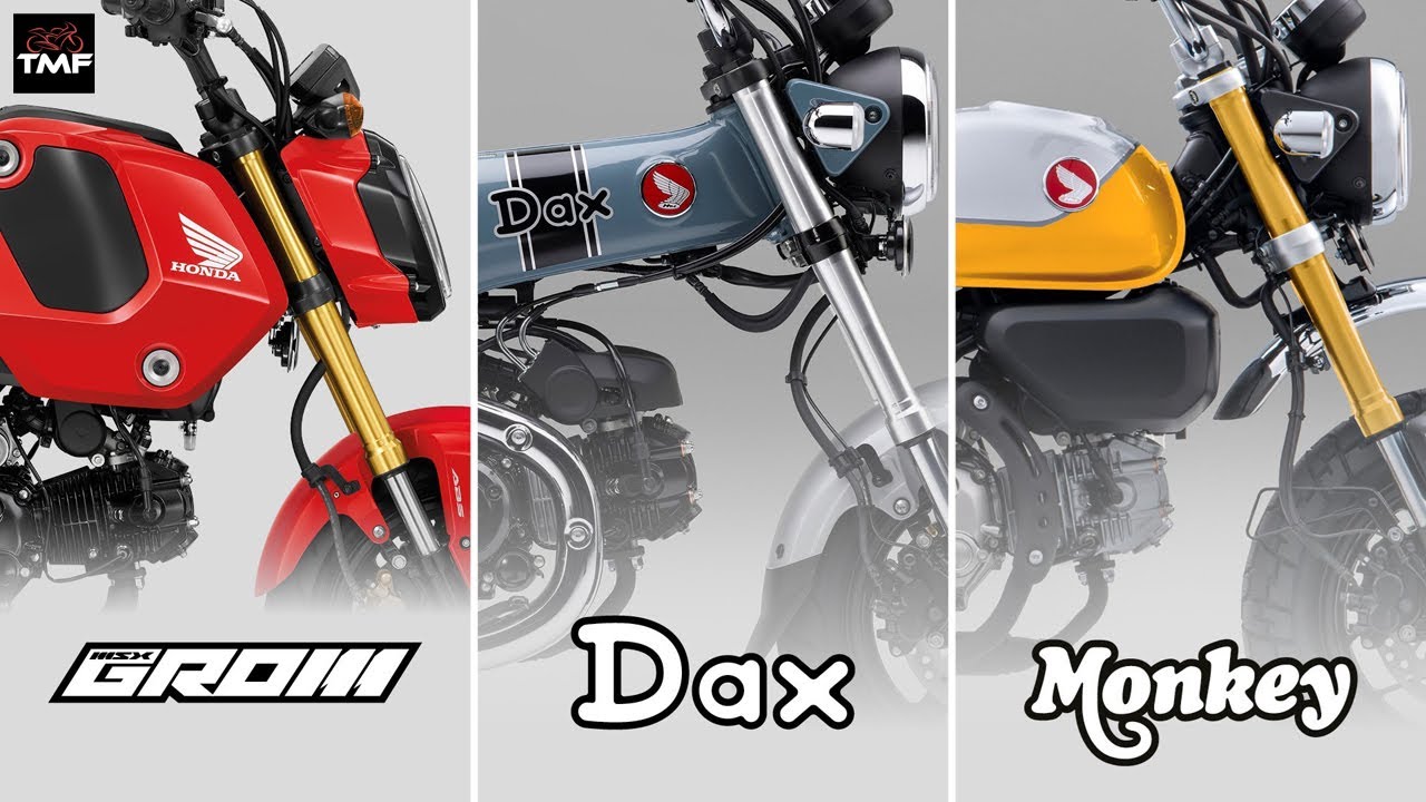 Битва Мини! — Honda Monkey против Dax против Grom: кто победит? 4K