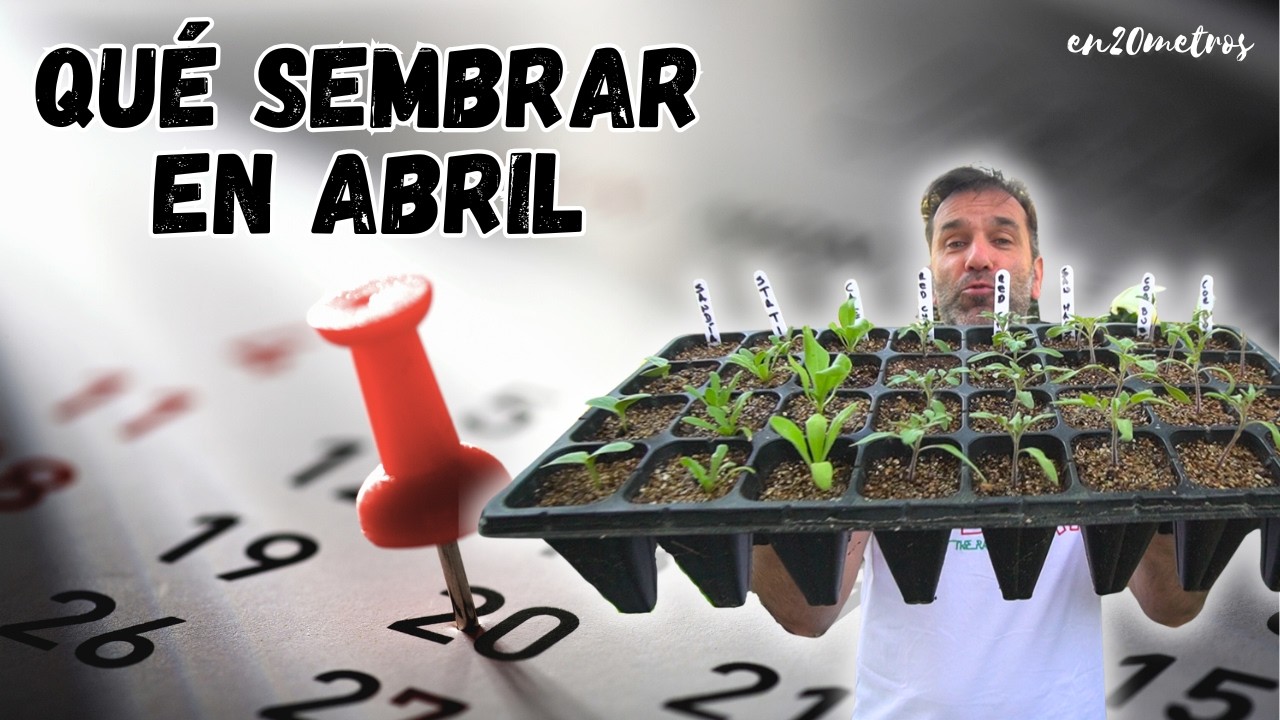 QU&Eacute; SEMBRAR EN ABRIL: CALENDARIO DE SIEMBRA Y TAREAS PARA HUERTA Y JARD&Iacute;N || en20metros