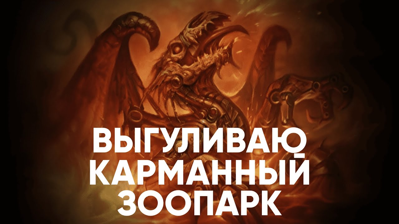 Выпускаем Zoo на Moscow Open | MODERN