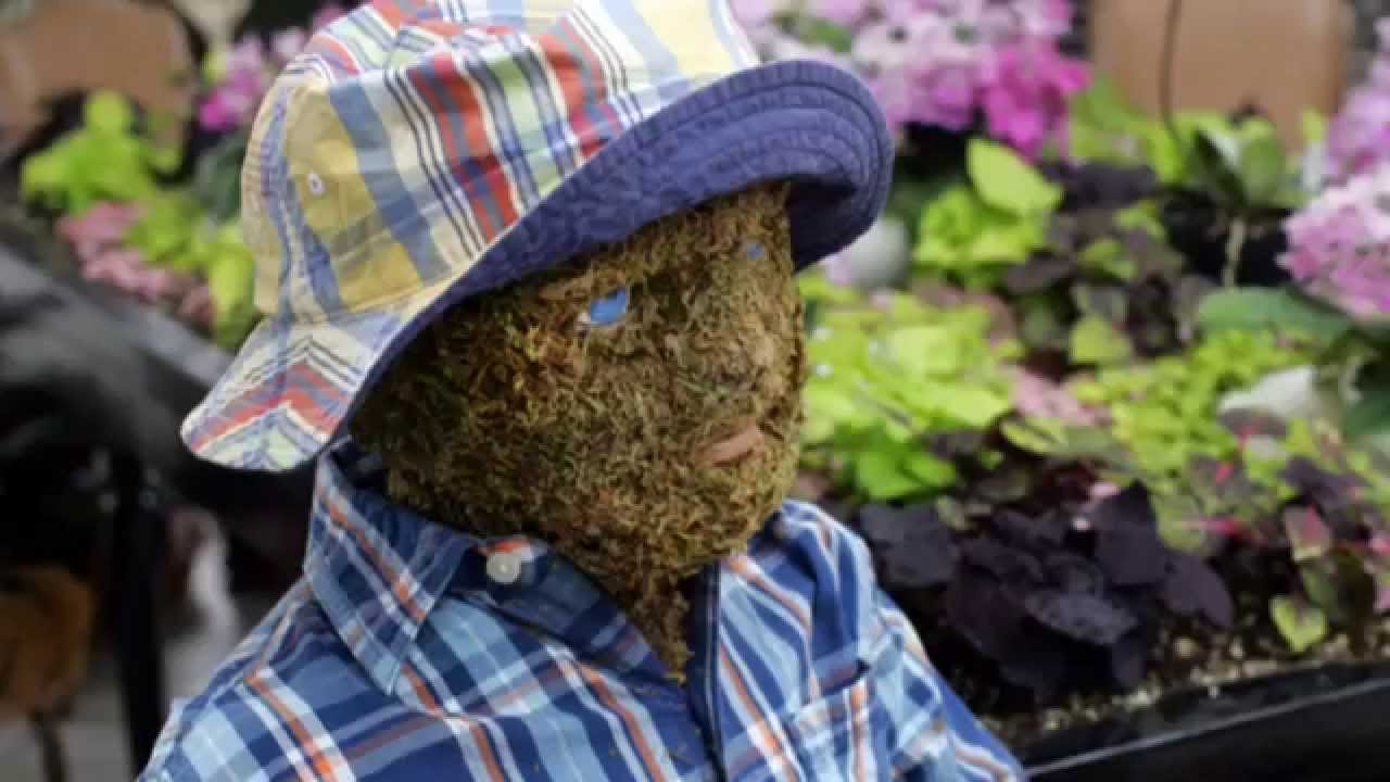 The 