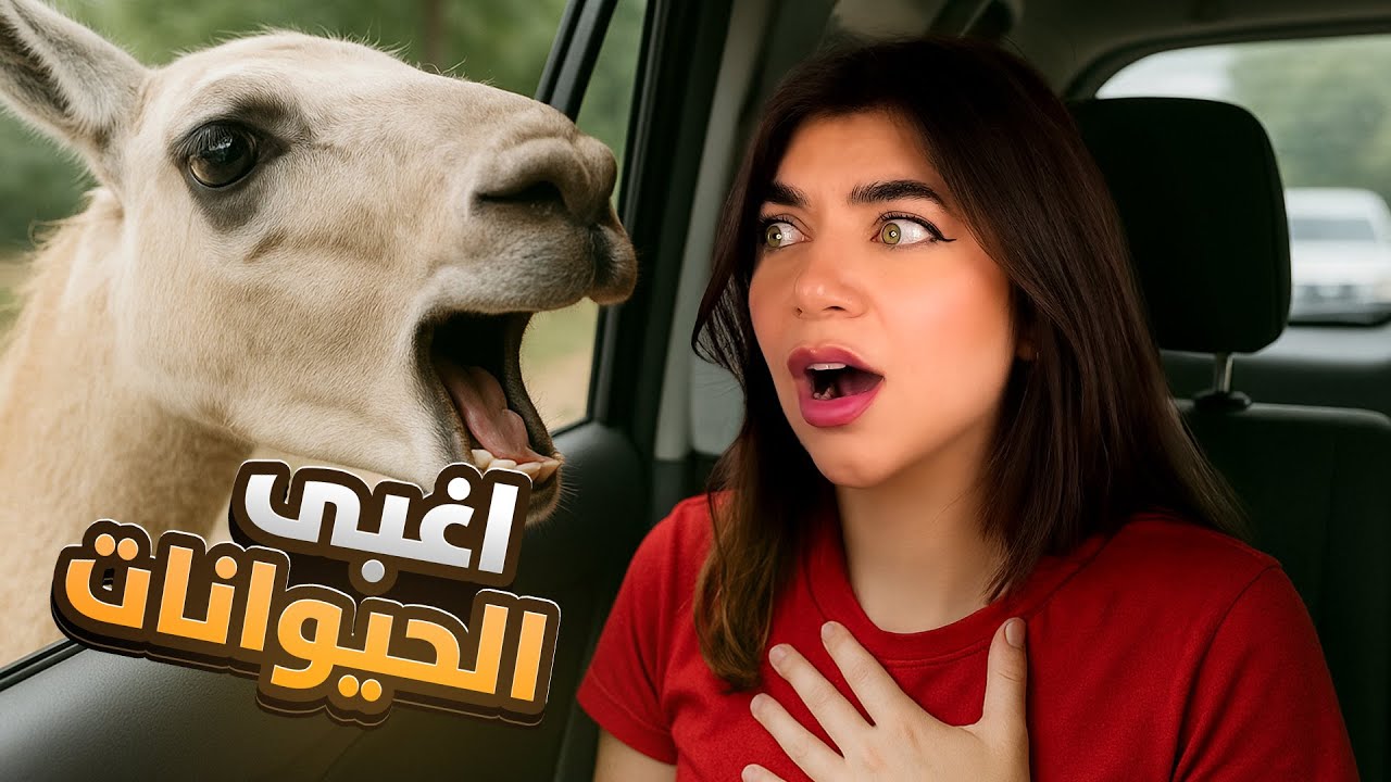 ردة فعلي على اغبى الحيوانات