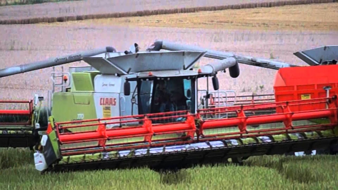 Gernez Harvest in Rapeseed