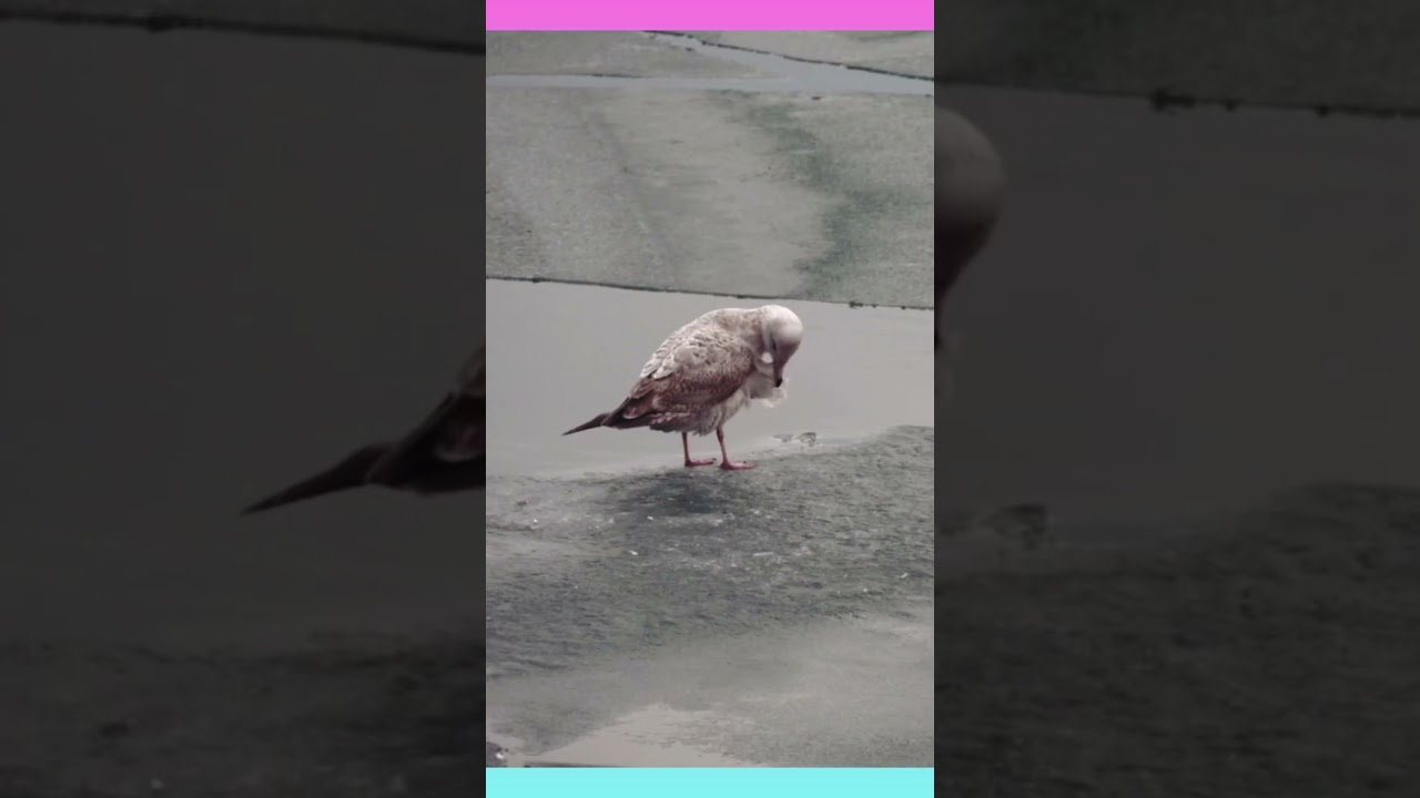 Bistar Par Let Kar Durood Sharif Padhna Kaisa Hai? | Islamic Bayan#DuroodSharif #IslamicReminder