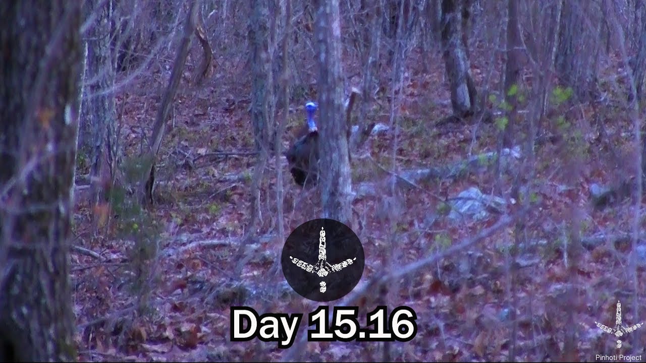 HARDWOODS HEARTBREAK_ ALABAMA TURKEY HUNTING- Pinhoti Project Day 15.16